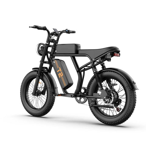 URLIFE T2 Elektrisches Fahrrad - Motor250W Batterie 48V 15.6Ah mit Scheibenbremse Trittunterstützung - Schwarz