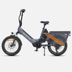 ENGWE LE20 Vélo Électrique UE - Pneus 20 Pouces Moteur 250W Double Batterie 48V38.4AH Freins Hydrauliques - Gris