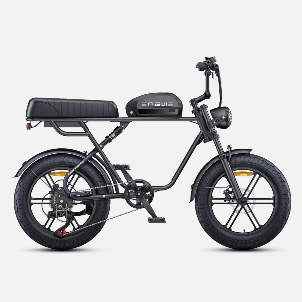 Electric Bicycle ENGWE M1 EU - 250W Motor 48V15.6AH Battery 20-inch Tires Hydraulic Disc Brakes - Black