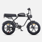 Electric Bicycle ENGWE M1 EU - 250W Motor 48V15.6AH Battery 20-inch Tires Hydraulic Disc Brakes - Black
