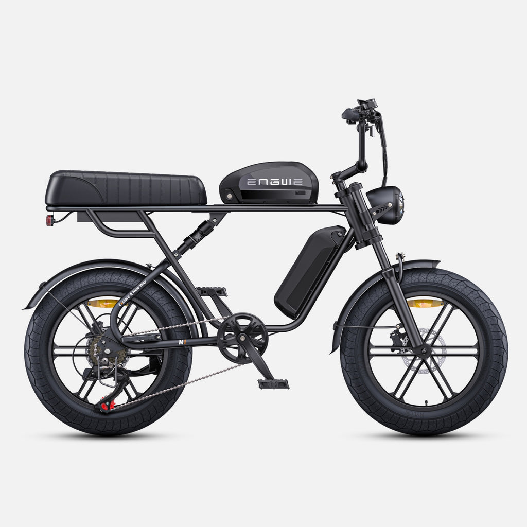 Electric Bicycle ENGWE M1 NL - 250W Motor 48V28.6AH Battery 20-inch Tires Hydraulic Disc Brakes Grip Shifter - Black