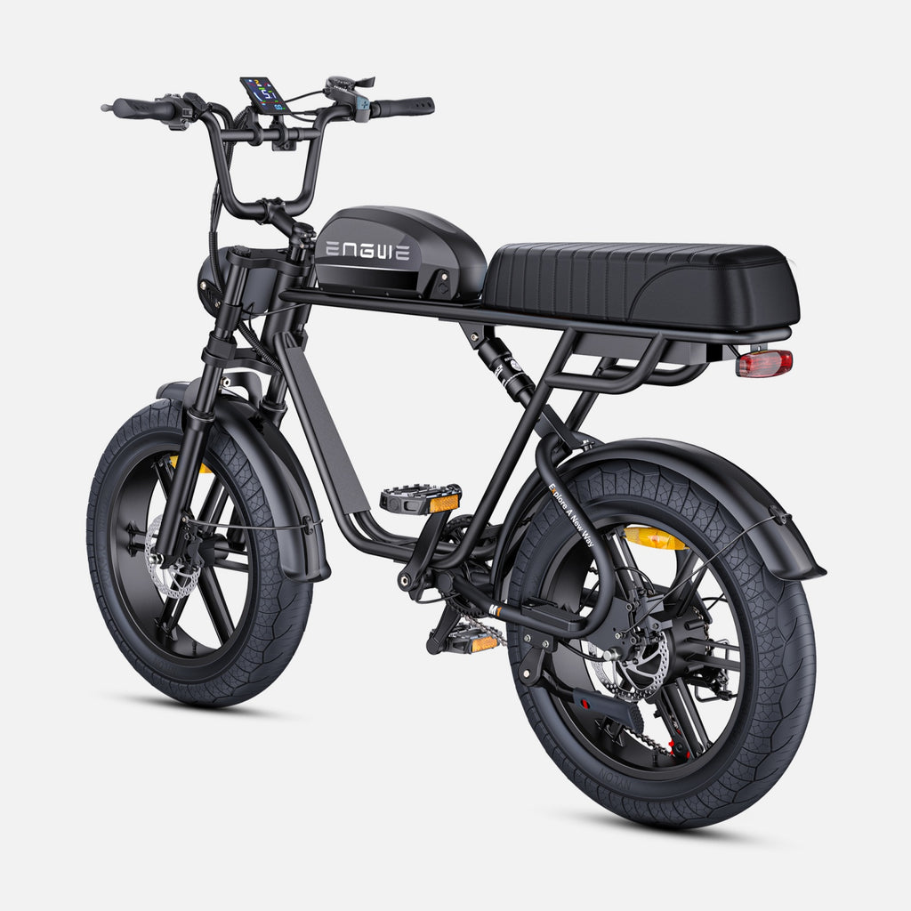 Electric Bicycle ENGWE M1 EU - 250W Motor 48V15.6AH Battery 20-inch Tires Hydraulic Disc Brakes - Black