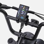 Electric Bicycle ENGWE M1 EU - 250W Motor 48V15.6AH Battery 20-inch Tires Hydraulic Disc Brakes - Black