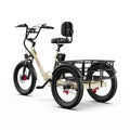 Electric Tricycle ONESPORT OT30 PRO - 500W Motor 48V18AH Battery 20 Inch Wheels Disc Brake – Beige