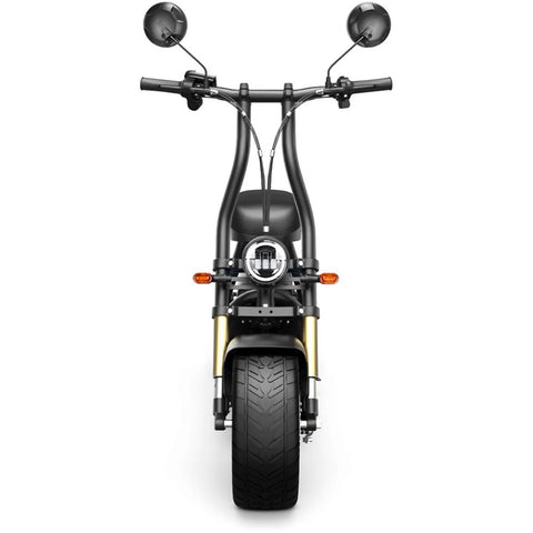 E-Scooter Honey whale M5 MAX - 1000W Motor 54.6V13Ah Akku 14 Zoll Reifen Scheibenbremse - Schwarz Blau