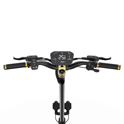 Elektroroller OOTD S30 - Motor 1200W*2 Akku 52V23.4AH 10" Reifen Ölbremse - Schwarz