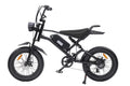 EB-V2 20-inch Fat Tire Electric Bike