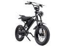 EB-V2 20-inch Fat Tire Electric Bike