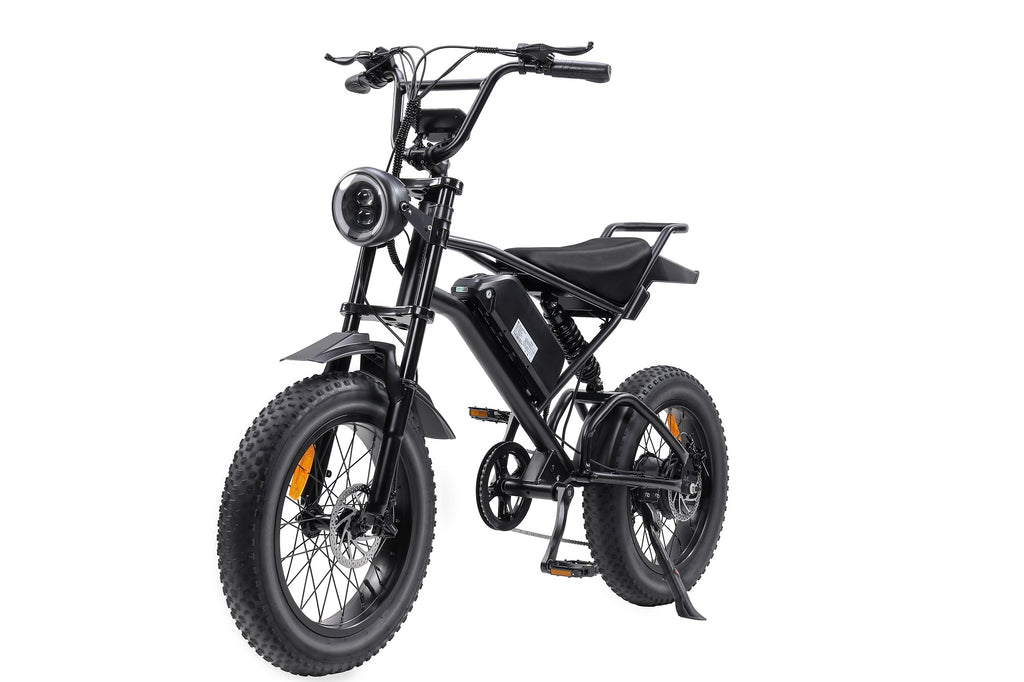 EB-V2 20-inch Fat Tire Electric Bike