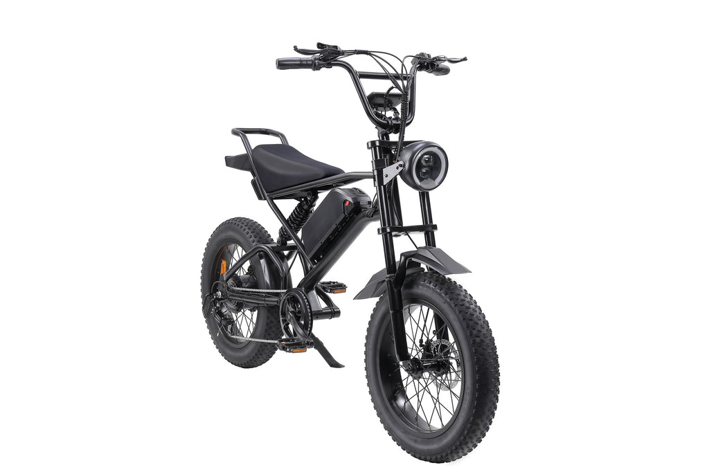 EB-V2 20-inch Fat Tire Electric Bike