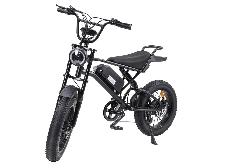 EB-V2 20-inch Fat Tire Electric Bike