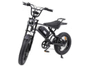 EB-V2 20-inch Fat Tire Electric Bike