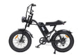 Vélo électrique fat tire 20 pouces EB-V1