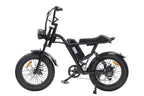 Vélo électrique fat tire 20 pouces EB-V1