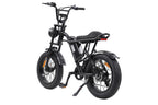 Vélo électrique fat tire 20 pouces EB-V1