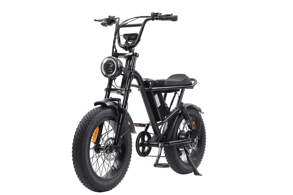 Vélo électrique fat tire 20 pouces EB-V1