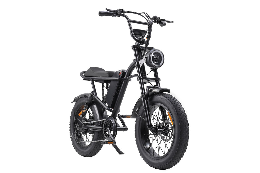 Vélo électrique fat tire 20 pouces EB-V1